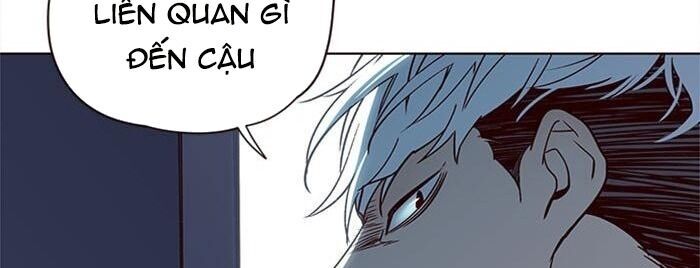 Hoá Thân Thành Mèo Chapter 36 - 65