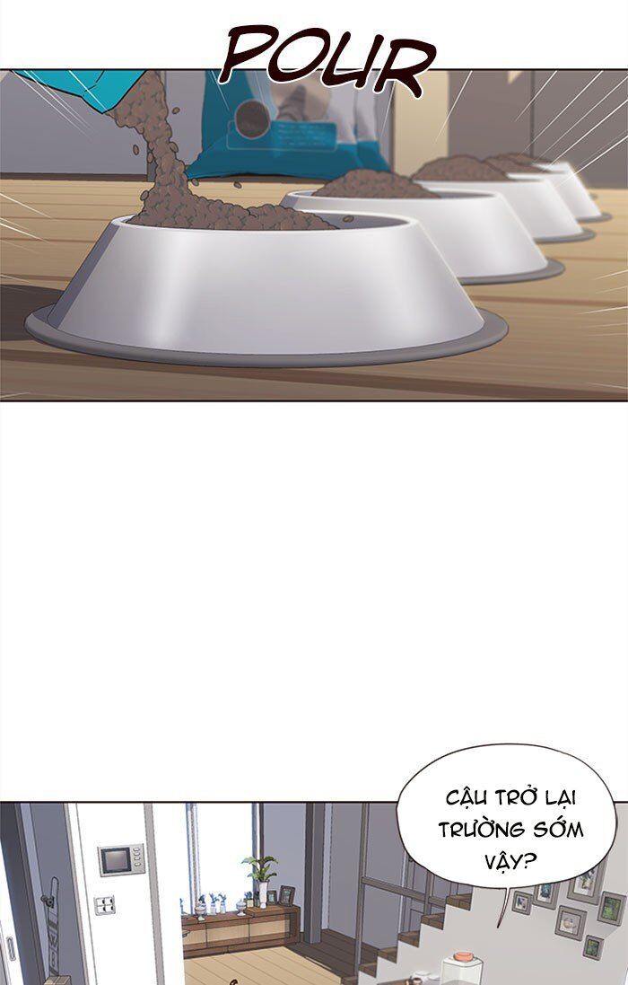 Hoá Thân Thành Mèo Chapter 37 - 31