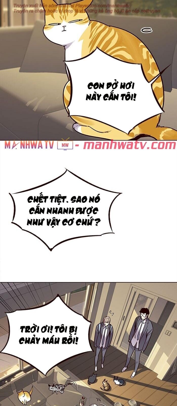 Hoá Thân Thành Mèo Chapter 38 - 58