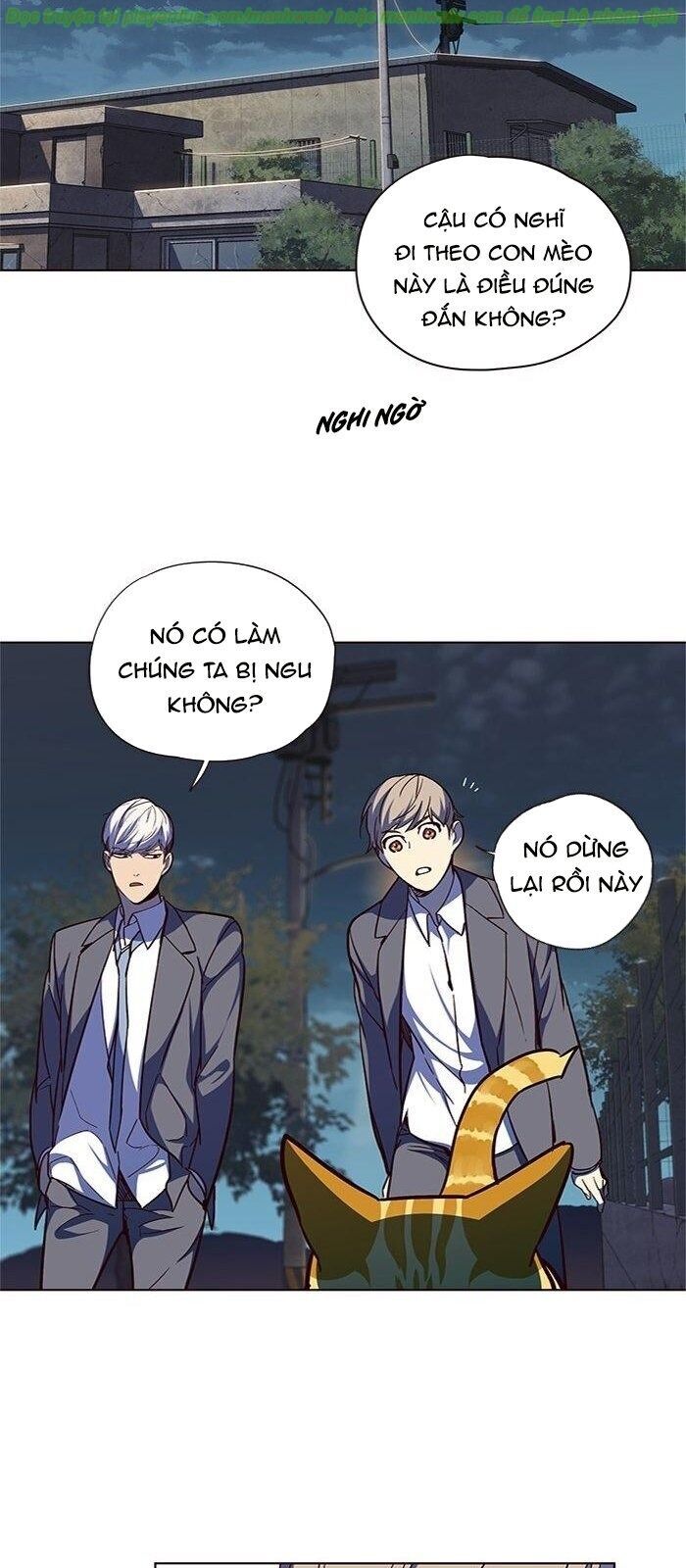 Hoá Thân Thành Mèo Chapter 41 - 92