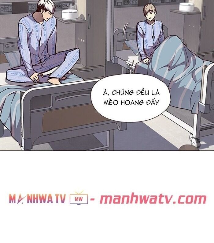 Hoá Thân Thành Mèo Chapter 46 - 55