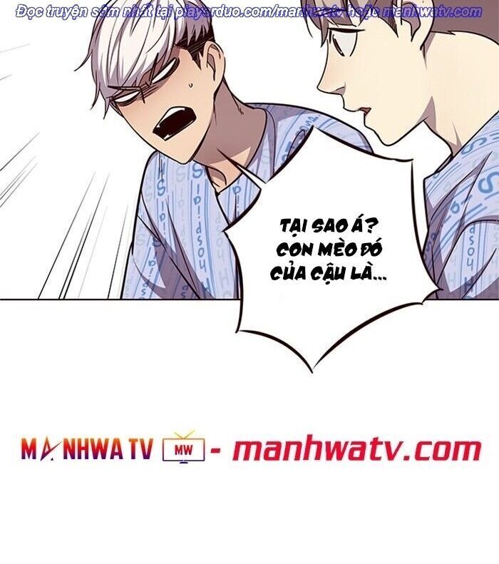Hoá Thân Thành Mèo Chapter 46 - 64