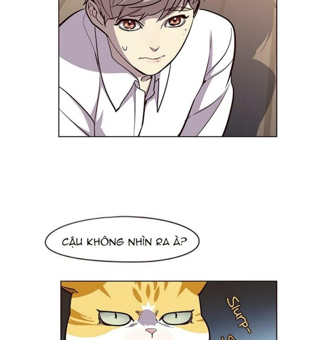Hoá Thân Thành Mèo Chapter 19 - 29