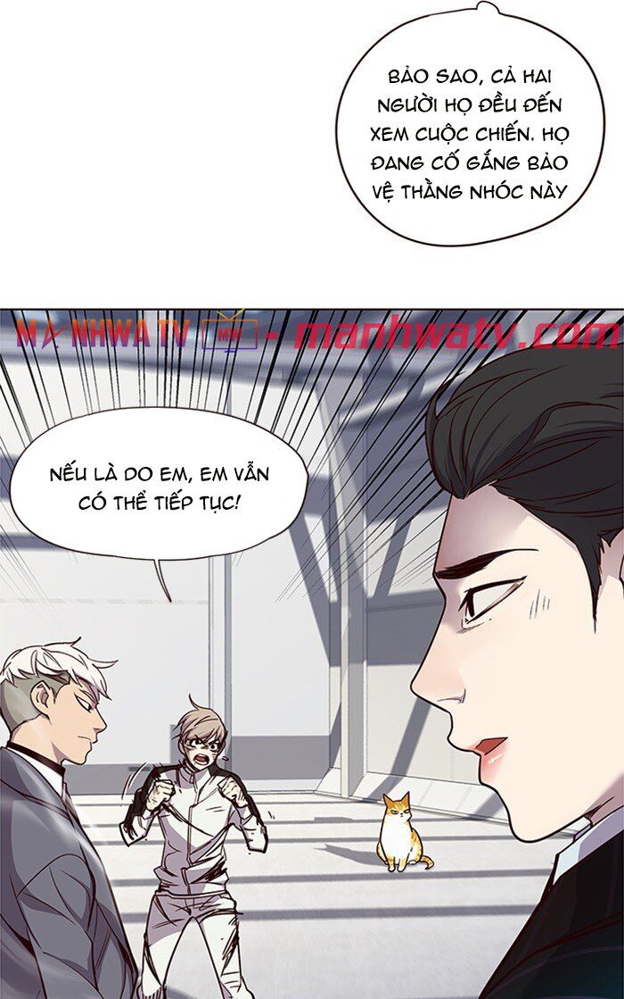 Hoá Thân Thành Mèo Chapter 26 - 20