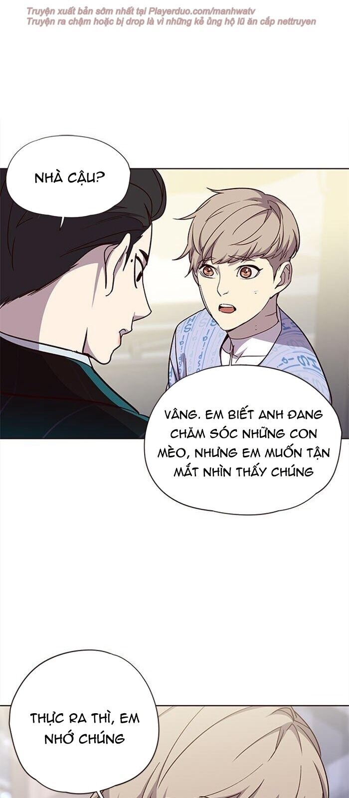 Hoá Thân Thành Mèo Chapter 34 - 74