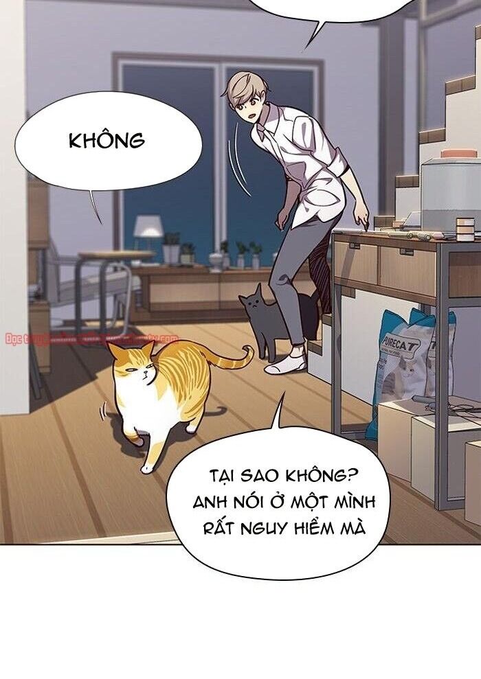 Hoá Thân Thành Mèo Chapter 51 - 29