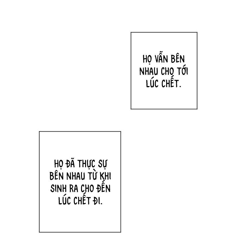 Tiểu Thư Bé Bỏng Đáng Yêu! Chapter 34 - 21