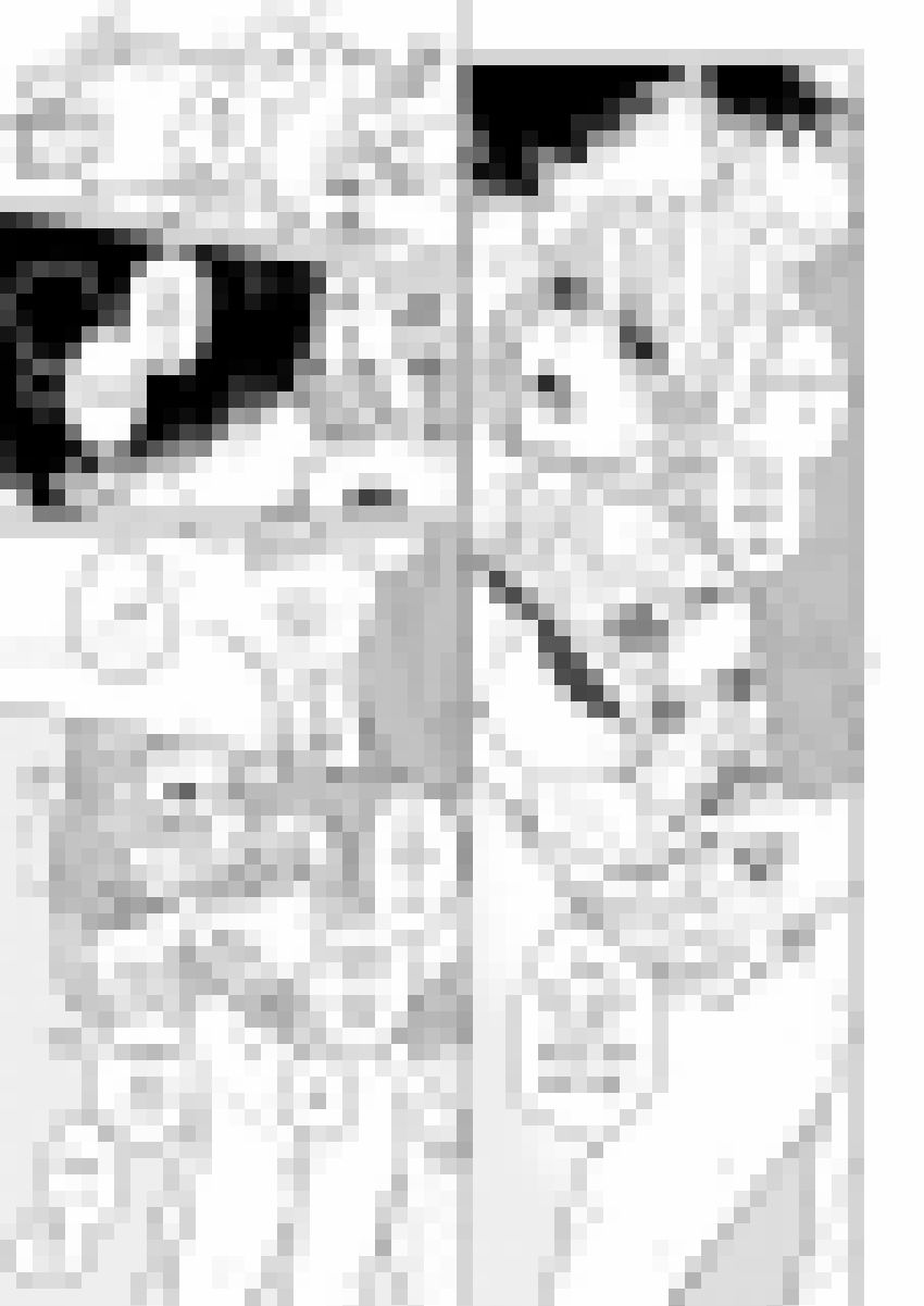 Nông Gia Đầu Gấu Dâm Khủng Khiếp! Chapter 9 - 25