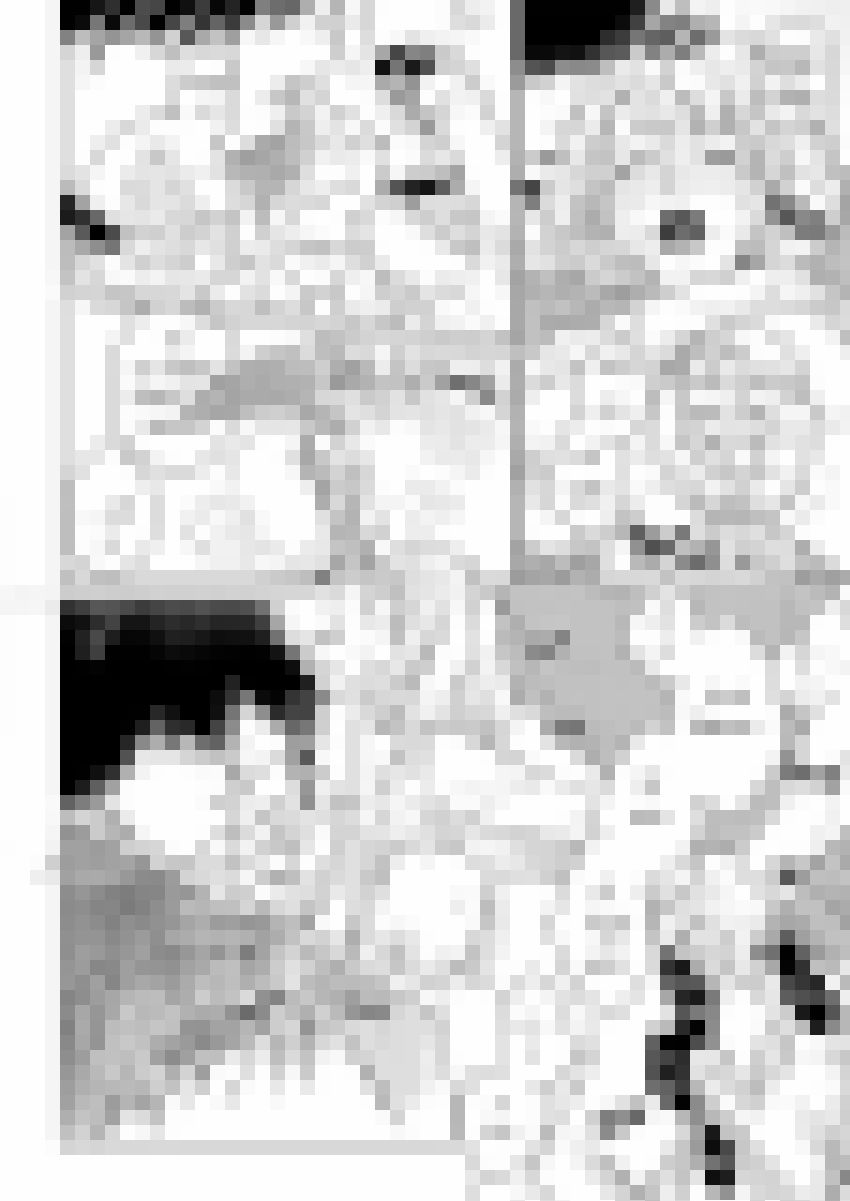 Nông Gia Đầu Gấu Dâm Khủng Khiếp! Chapter 9 - 26