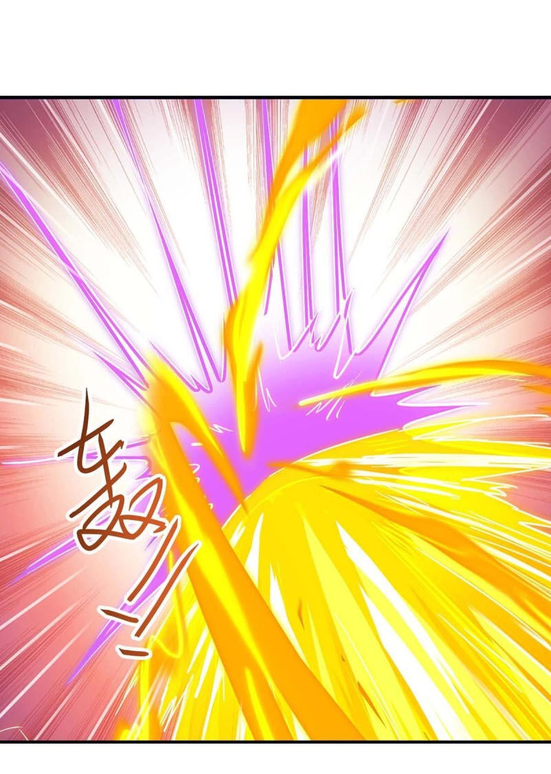 Tối Cường Thăng Cấp Chapter 167 - 34