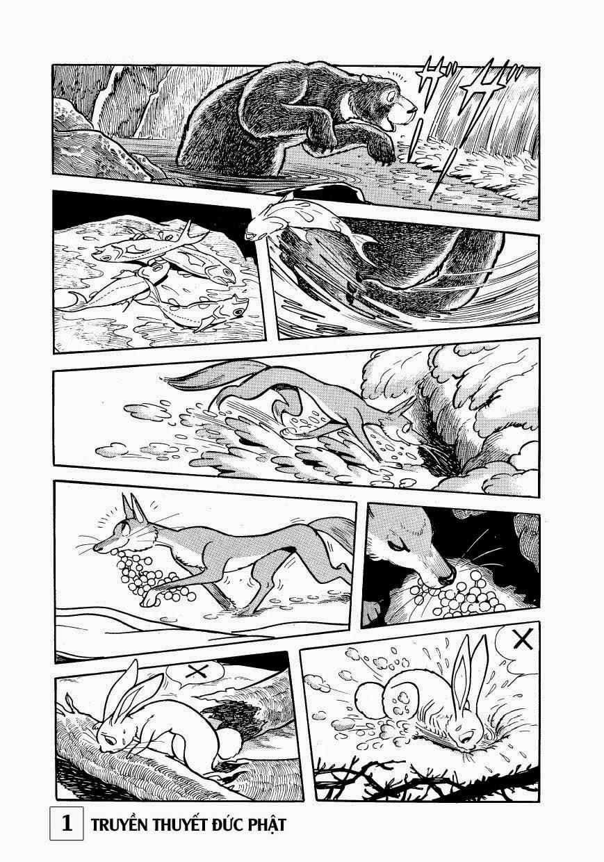 Buddha - Truyền Thuyết Đức Phật Chapter 1 - 19
