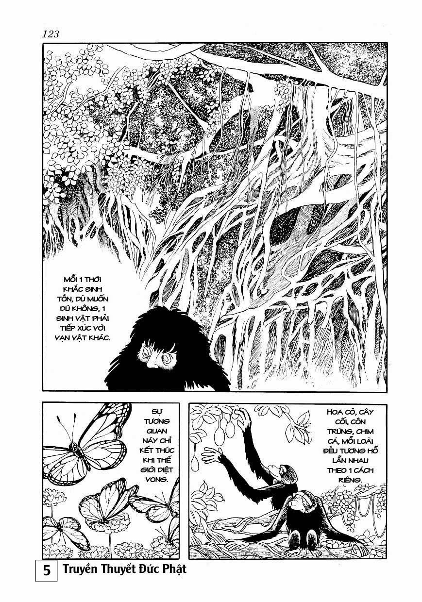 Buddha - Truyền Thuyết Đức Phật Chapter 25.1 - 14