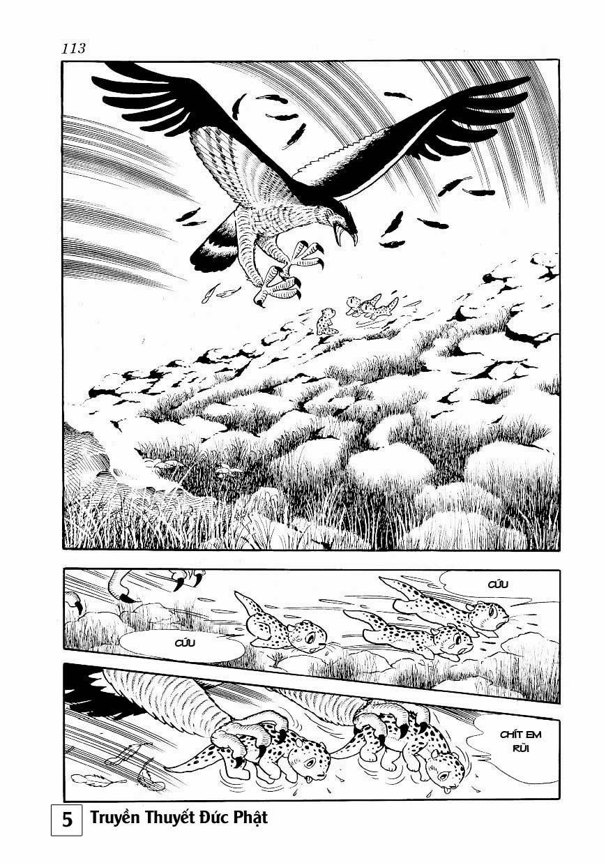 Buddha - Truyền Thuyết Đức Phật Chapter 25.1 - 4