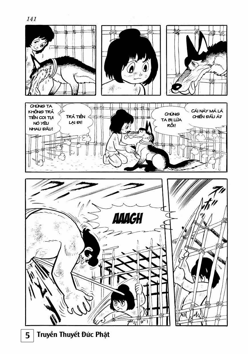 Buddha - Truyền Thuyết Đức Phật Chapter 25.1 - 32