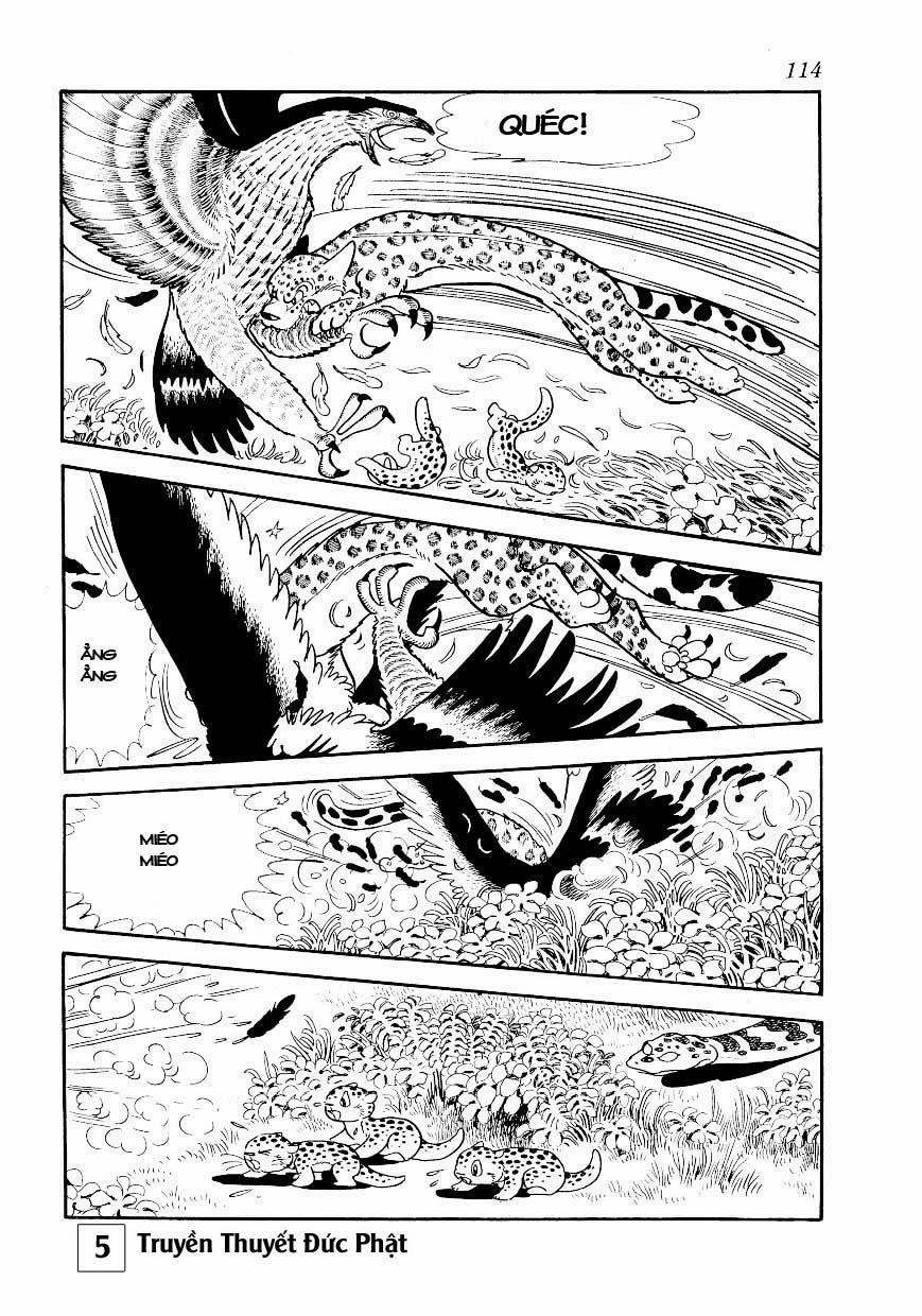 Buddha - Truyền Thuyết Đức Phật Chapter 25.1 - 5