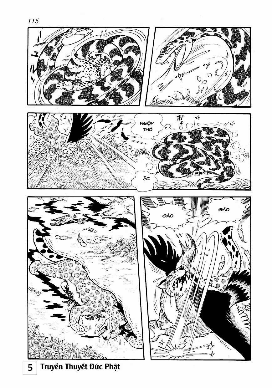 Buddha - Truyền Thuyết Đức Phật Chapter 25.1 - 6