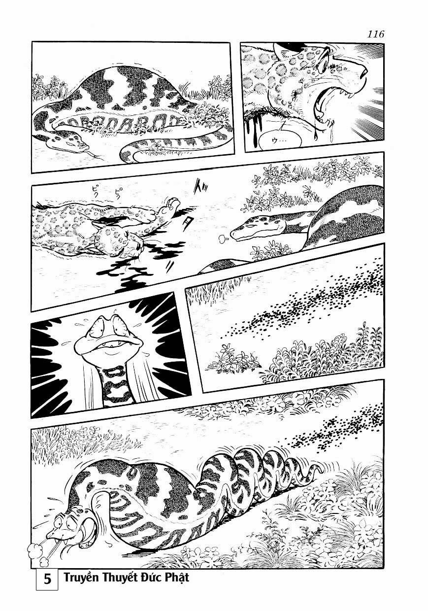 Buddha - Truyền Thuyết Đức Phật Chapter 25.1 - 7