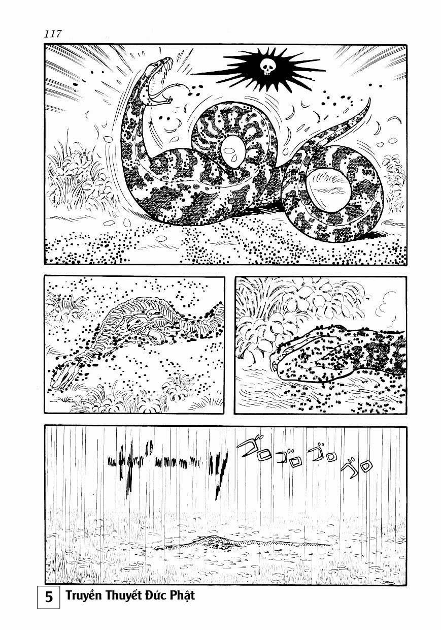 Buddha - Truyền Thuyết Đức Phật Chapter 25.1 - 8