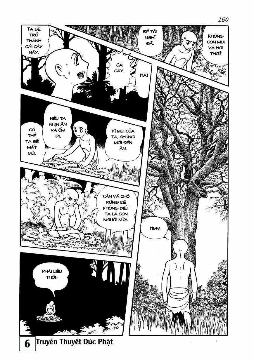 Buddha - Truyền Thuyết Đức Phật Chapter 29.2 - 14