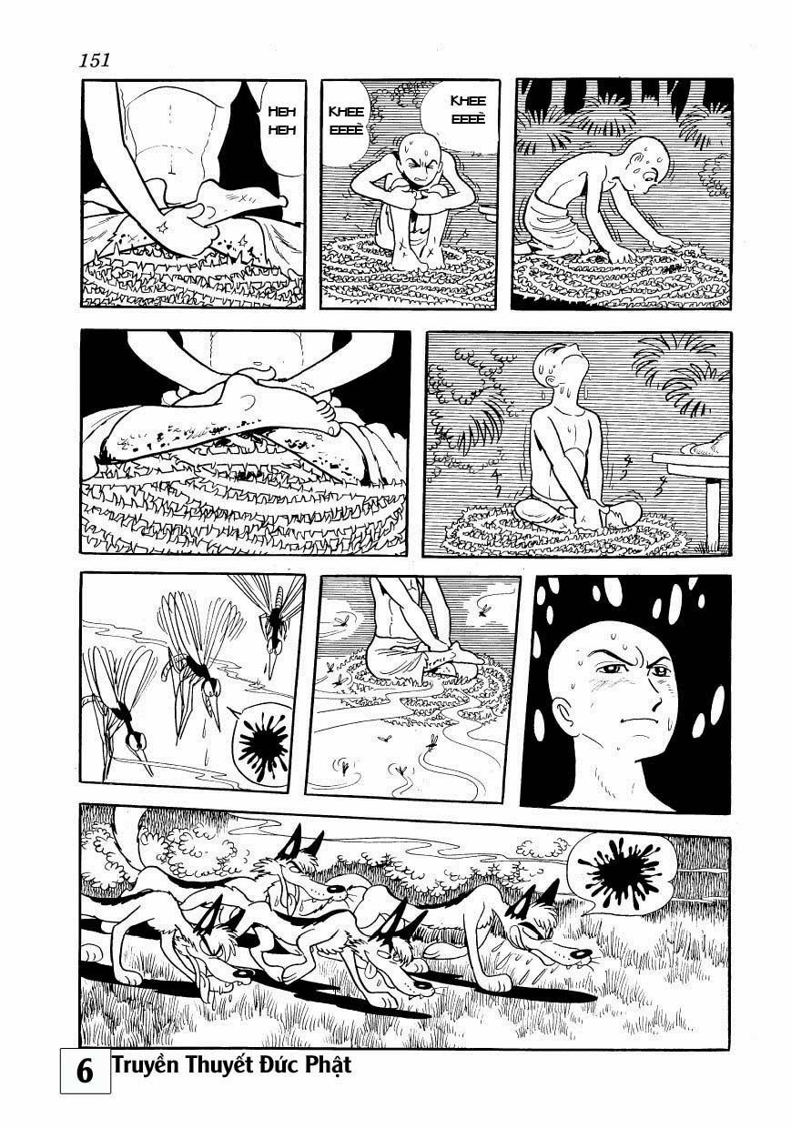 Buddha - Truyền Thuyết Đức Phật Chapter 29.2 - 6