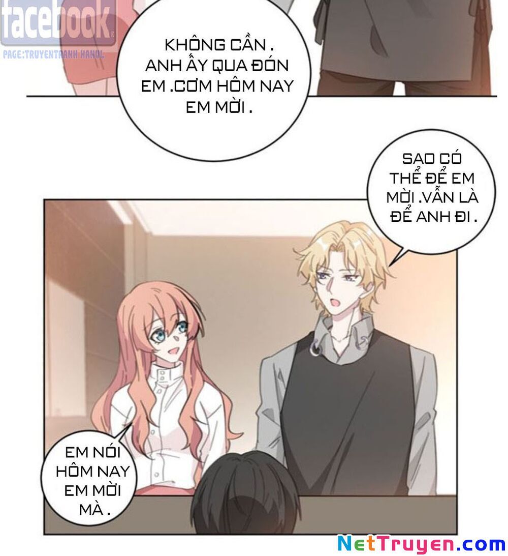 Hôn Nhân Trọng Sinh Nhẹ Nhàng Ấm Áp Sủng Vợ Chapter 105 - 5