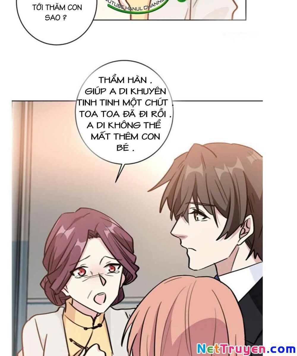 Hôn Nhân Trọng Sinh Nhẹ Nhàng Ấm Áp Sủng Vợ Chapter 97 - 14