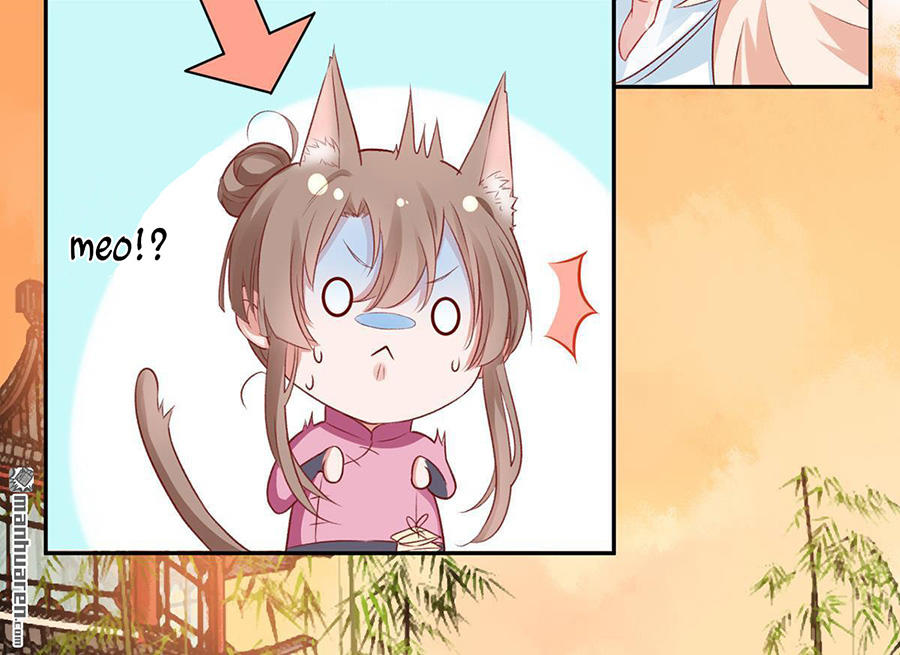 Hoàng Phi 9000 Tuổi Chapter 10 - 12
