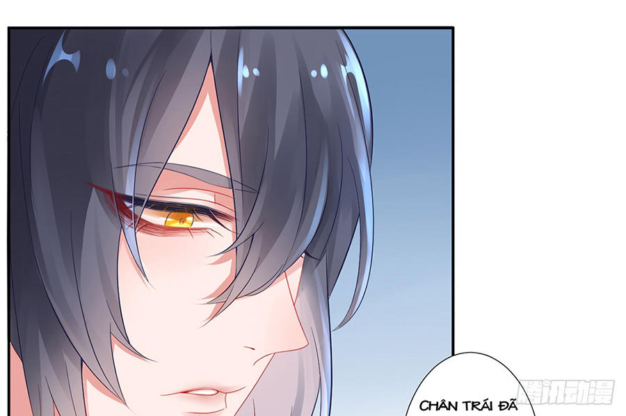Hoàng Phi 9000 Tuổi Chapter 6 - 40