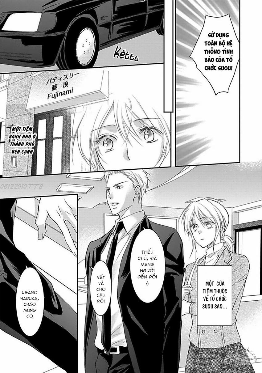 Sự Dạy Bảo Ngọt Ngào Của Yakuza Chapter 4 - 15