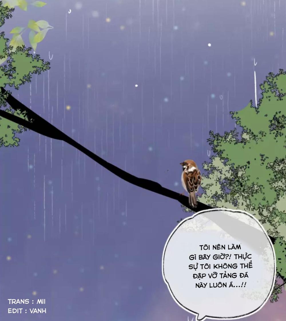 Hoa Dữ Ẩn Nặc Chi Ô Chapter 26 - 33