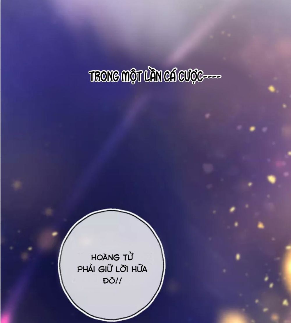 Hoa Dữ Ẩn Nặc Chi Ô Chapter 31 - 16
