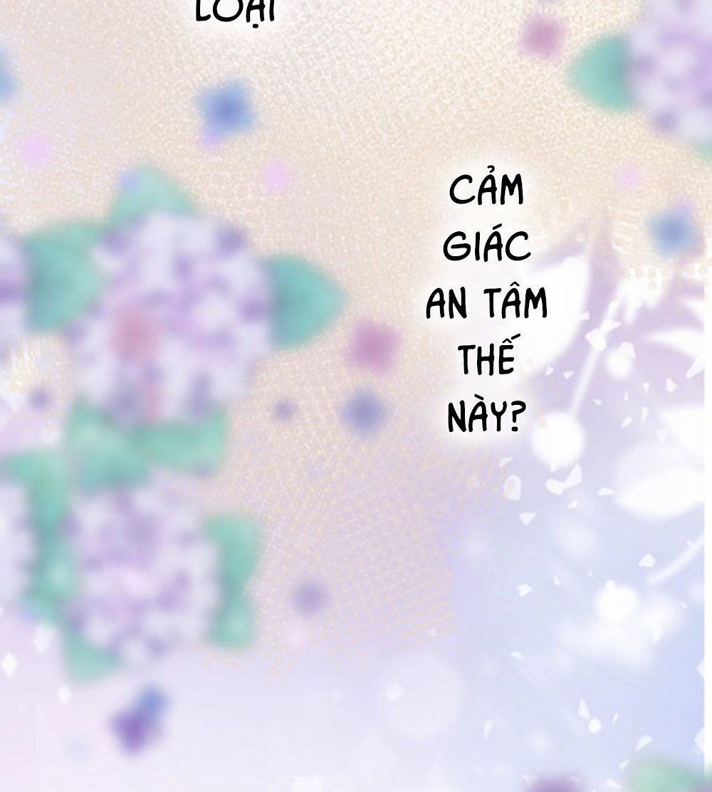 Hoa Dữ Ẩn Nặc Chi Ô Chapter 33 - 13