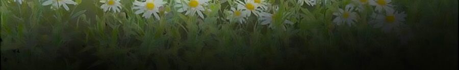 Hoa Dữ Ẩn Nặc Chi Ô Chapter 49 - 11