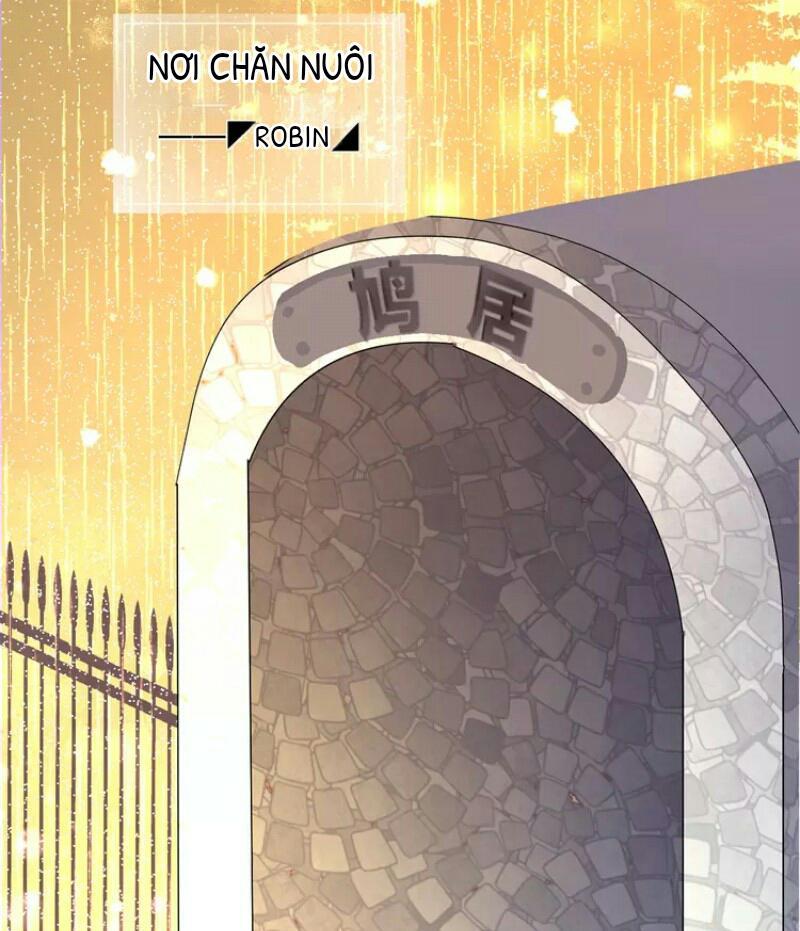 Hoa Dữ Ẩn Nặc Chi Ô Chapter 5 - 12