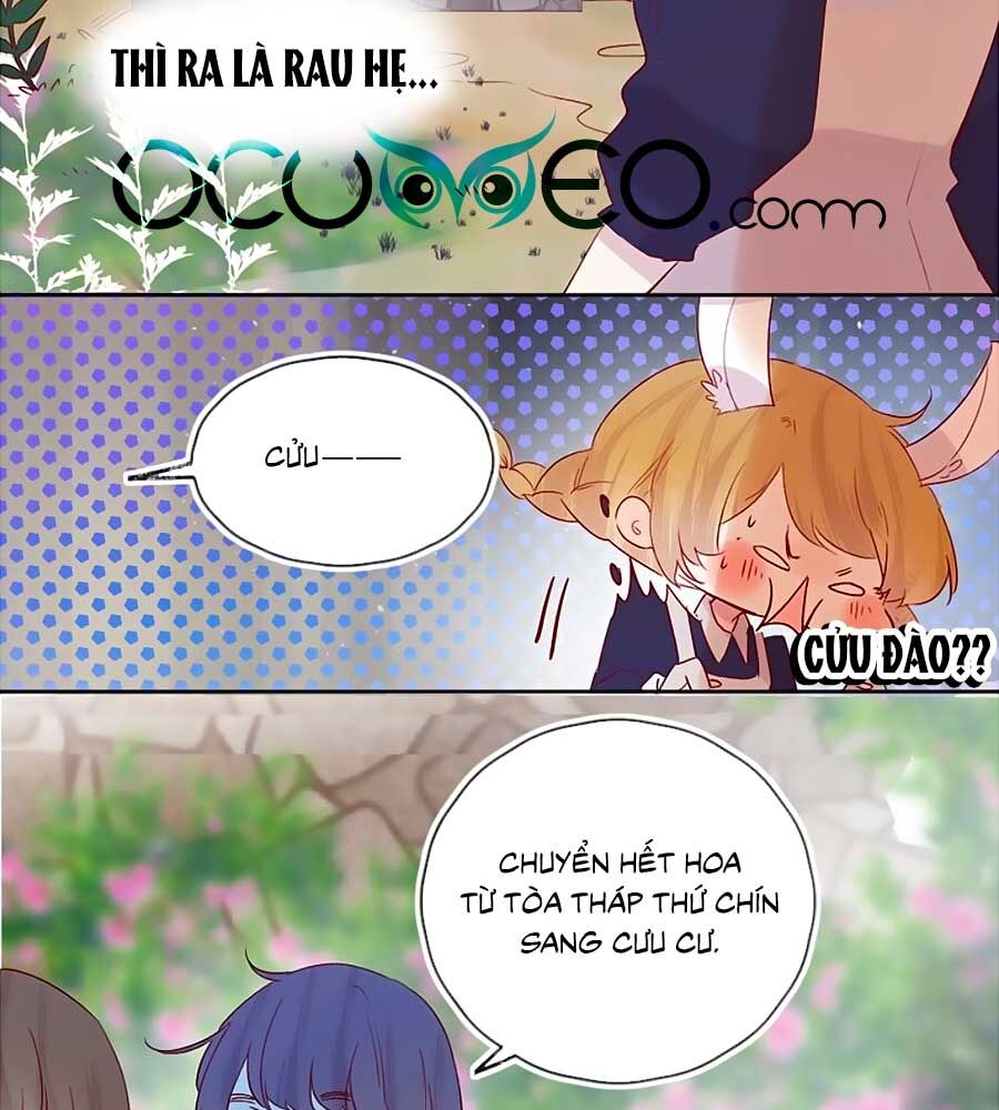 Hoa Dữ Ẩn Nặc Chi Ô Chapter 82 - 5