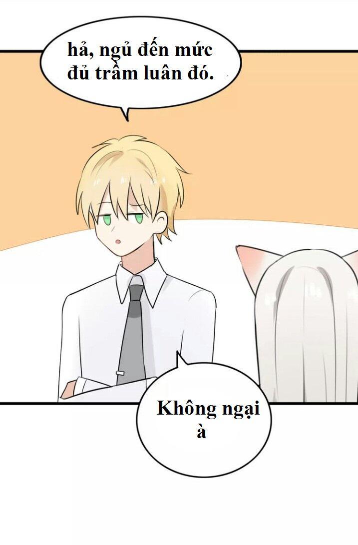 Thú Sủng Của Tôi Bị Mất Trí Rồi Chapter 23 - 22
