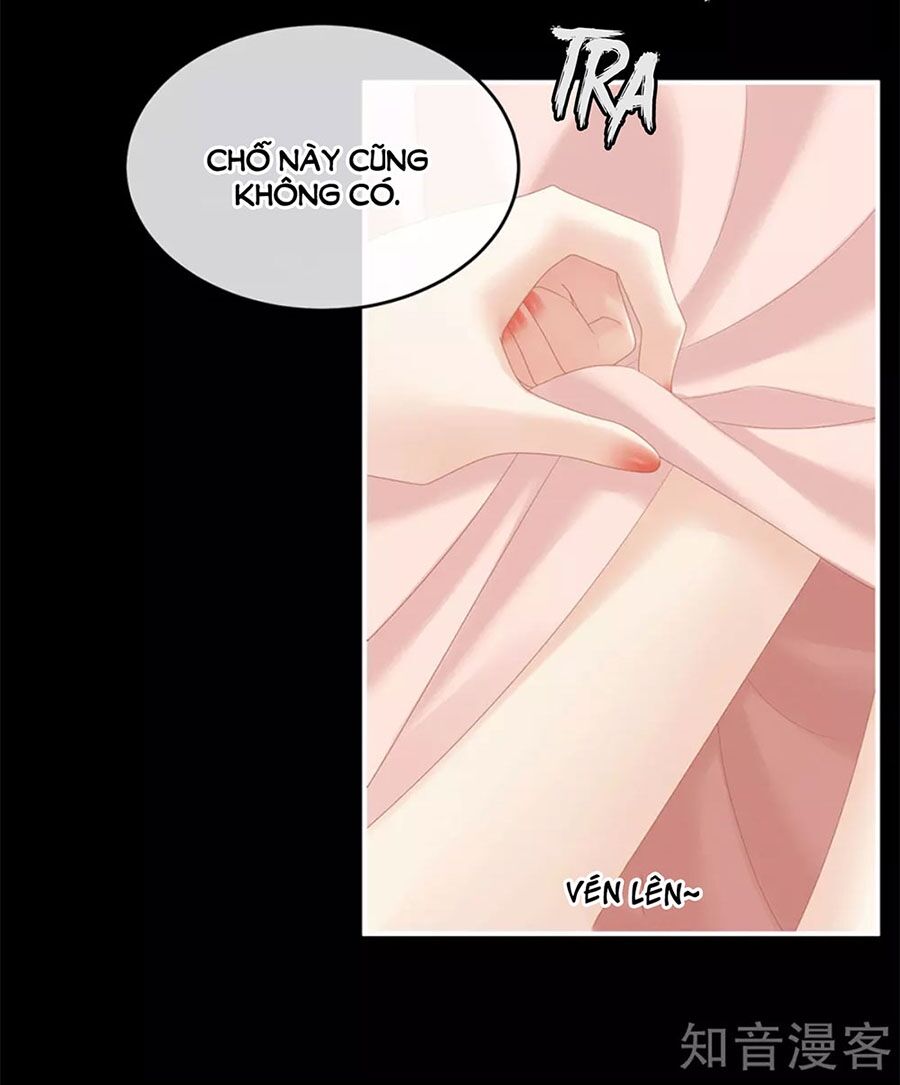 Hậu Cung Của Nữ Đế Chapter 173 - 25