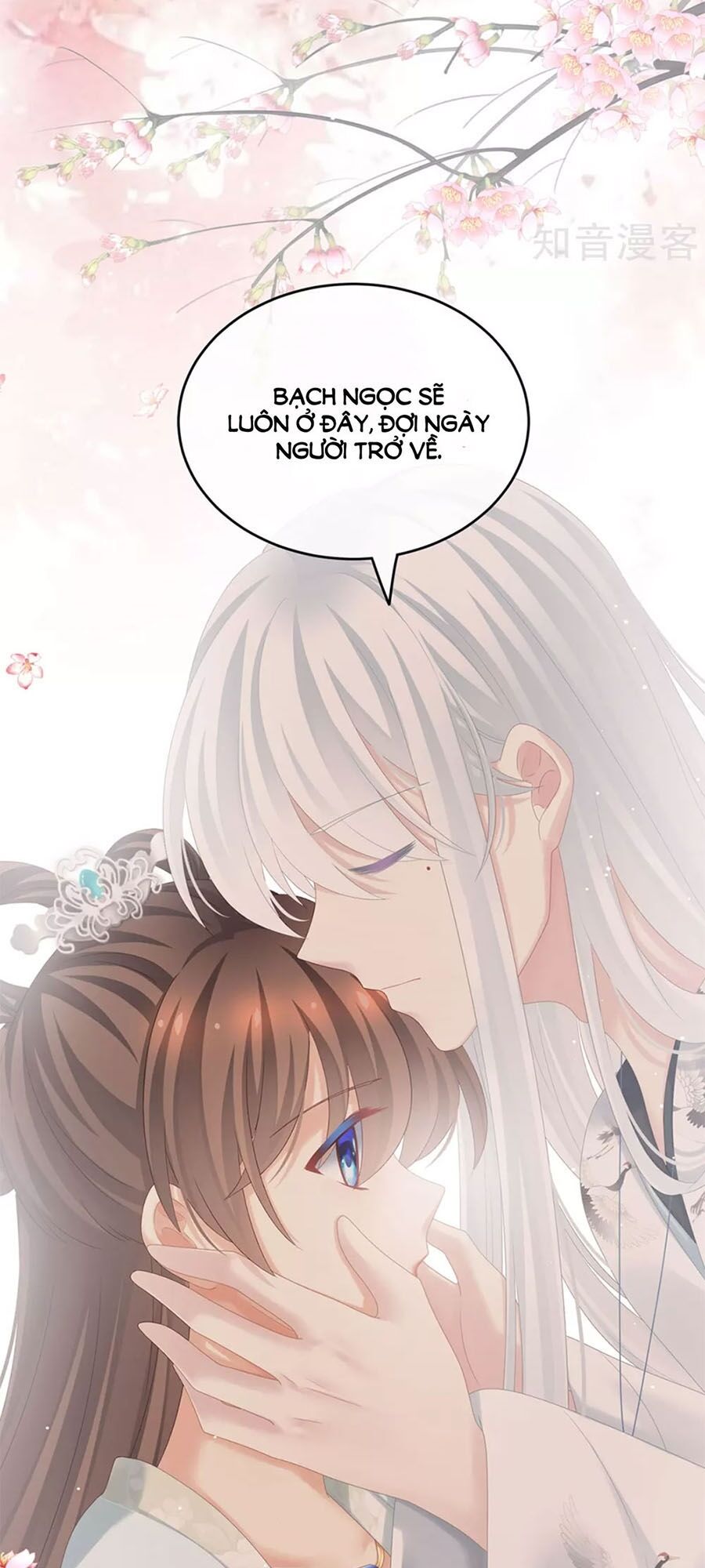 Hậu Cung Của Nữ Đế Chapter 173 - 41