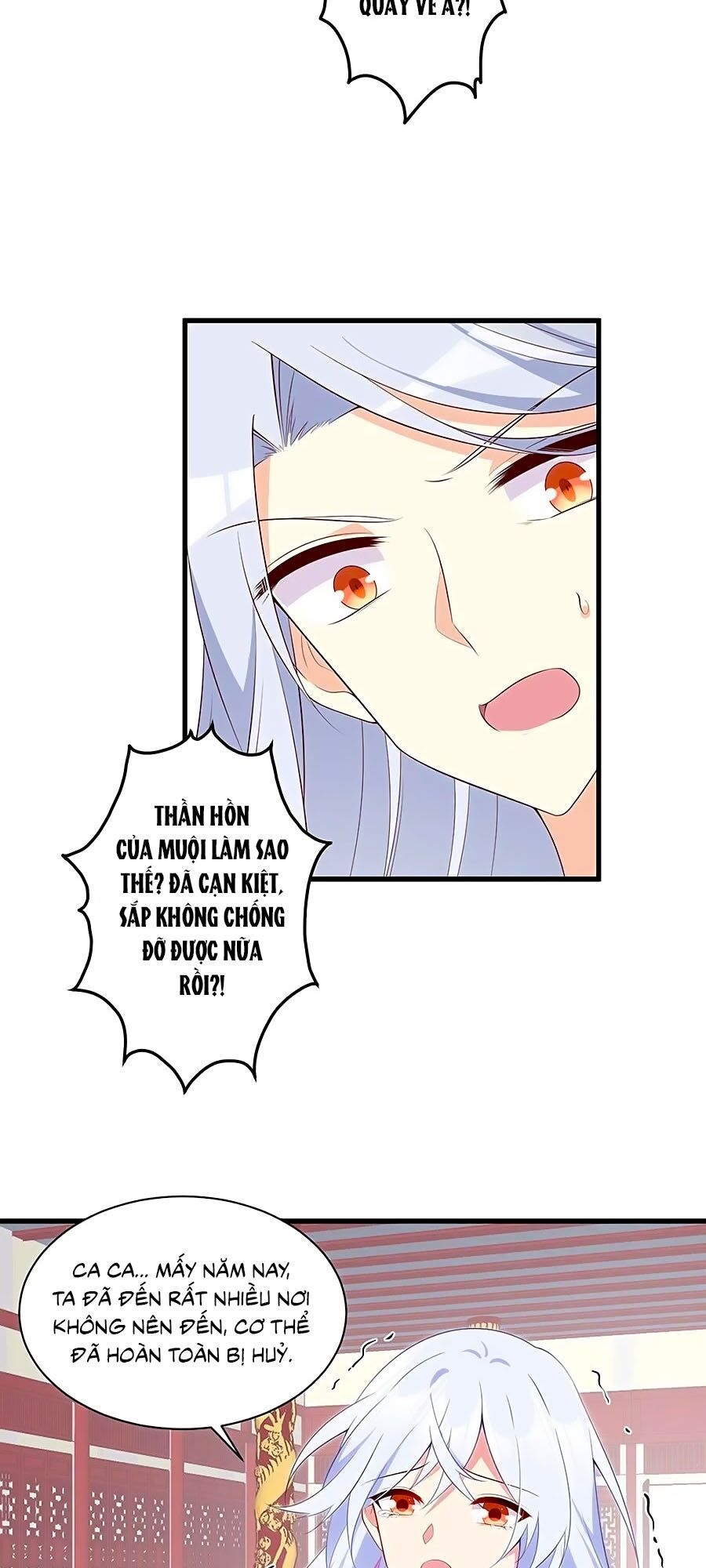Manh Sư Tại Thượng Chapter 235 - 24