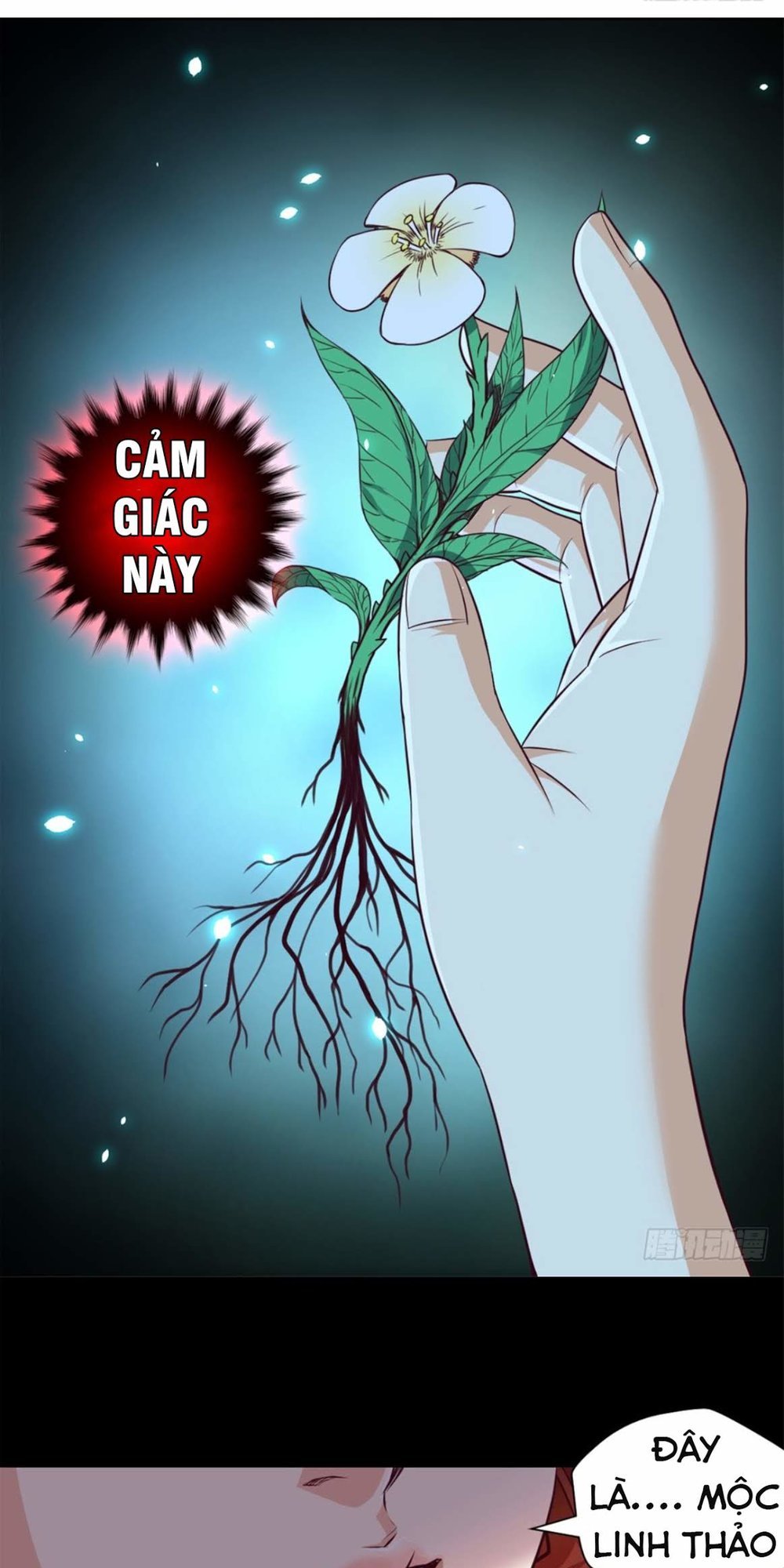 Chiếm Cái Đỉnh Núi Làm Đại Vương Chapter 5 - 38