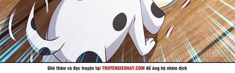 Chiếm Cái Đỉnh Núi Làm Đại Vương Chapter 9 - 22