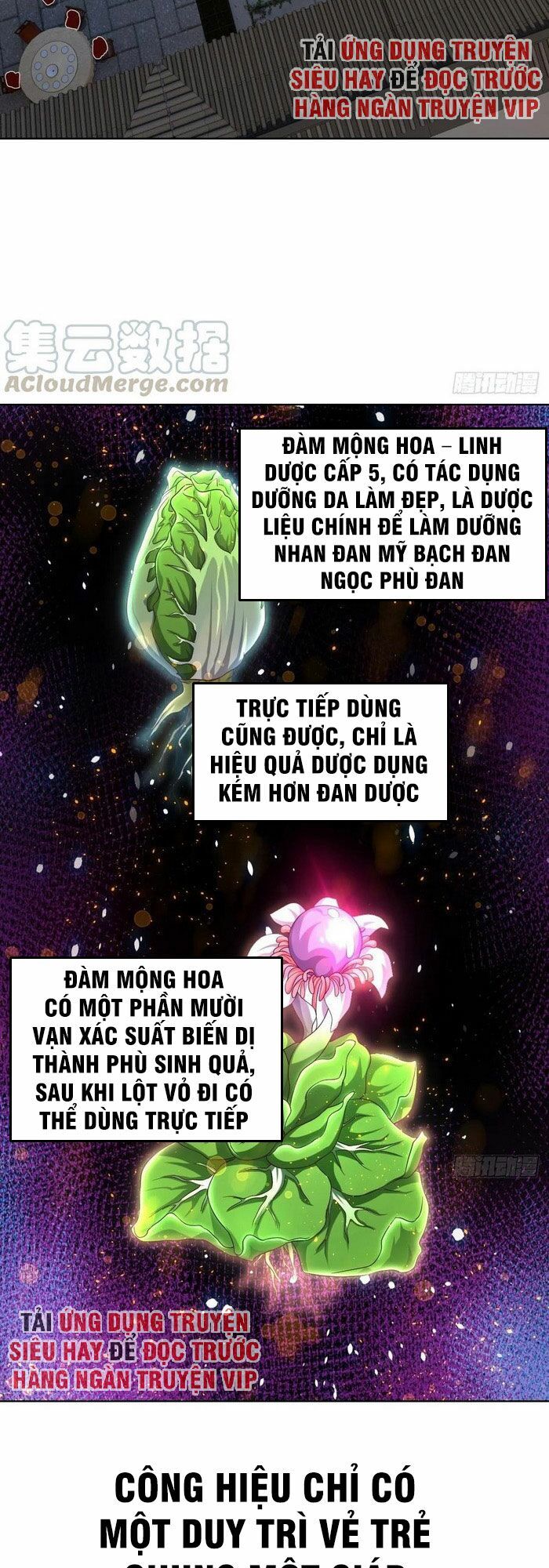Chiếm Cái Đỉnh Núi Làm Đại Vương Chapter 93 - 10