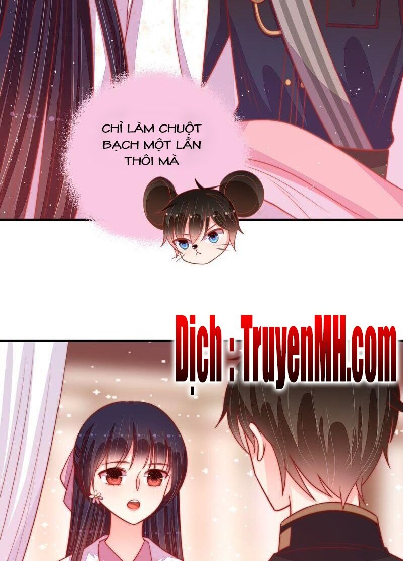 Ngày Nào Thiếu Soái Cũng Ghen Chapter 153 - 12