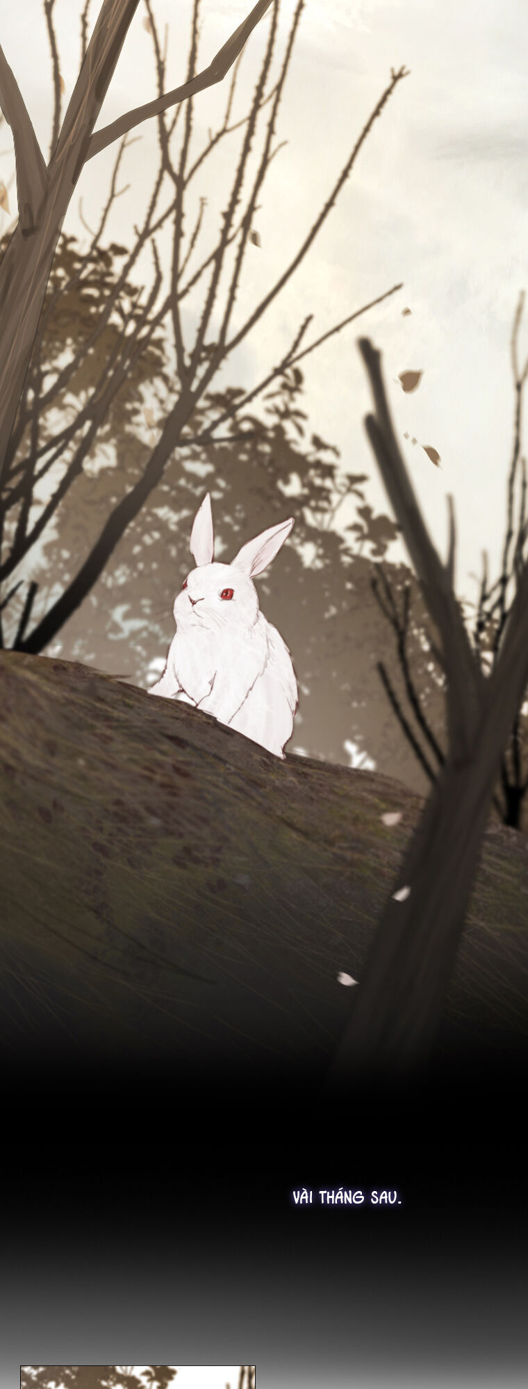 Mùa Đông Tăm Tối Chapter 32 - 4