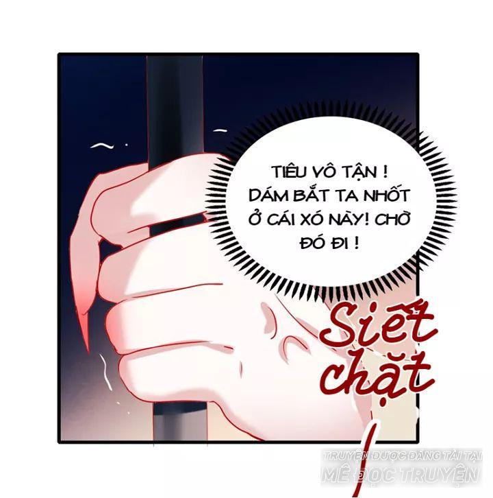 Thành Dã Tiêu Hà Chapter 3 - 11