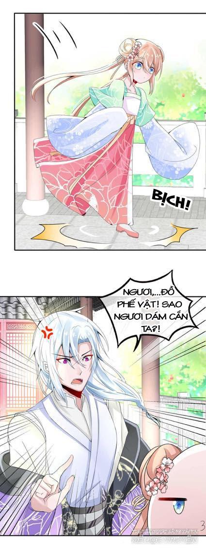 Kế Hoạch Sủng Ái Của Tiểu Công Chúa Chapter 4 - 6