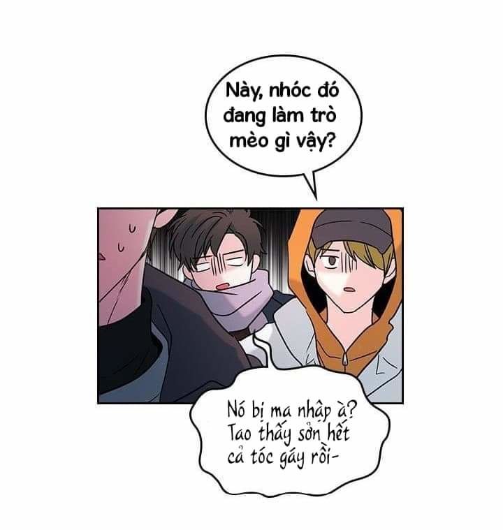 Luật Của Tiểu Thuyết Mạng Chapter 13 - 48