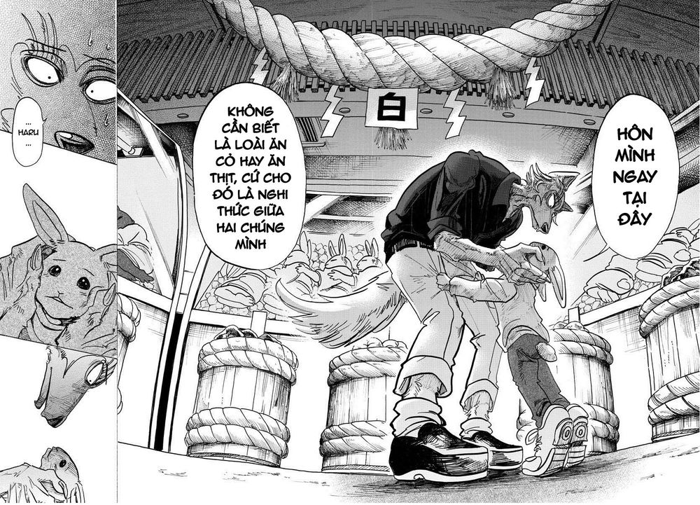 Bởi Vì Chúng Ta Đều Là Những Ngôi Sao Chapter 122 - 16
