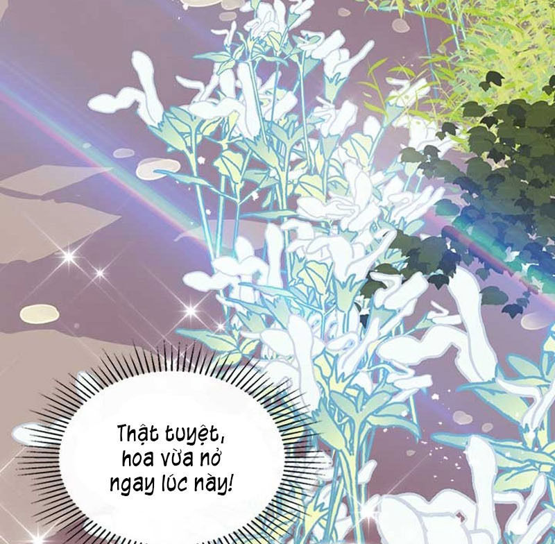 Công Chúa Chloe Chapter 12 - 14