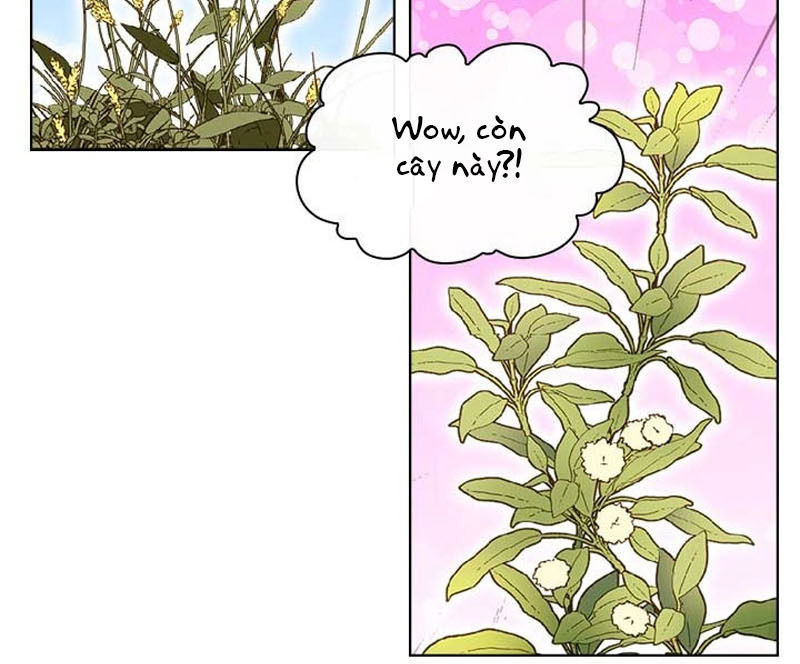 Công Chúa Chloe Chapter 12 - 4